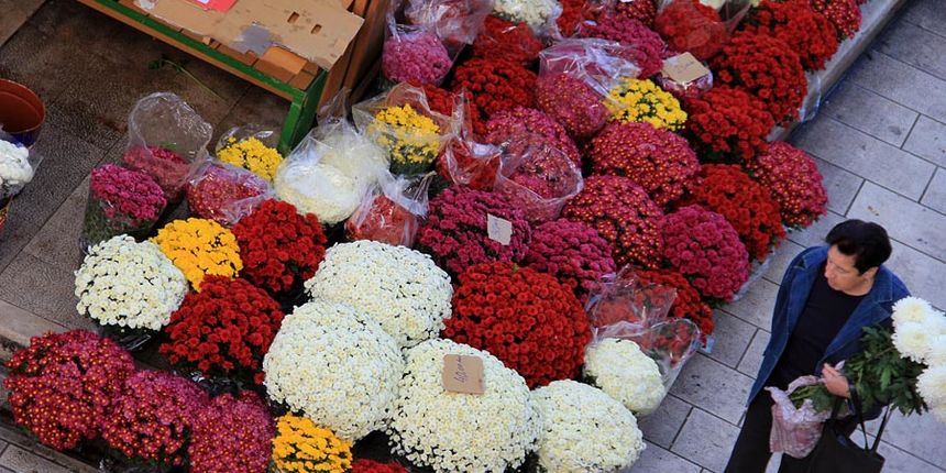 Započela prodaja cvijeća na zadarskoj tržnici, foto-I. Perinčić Započela prodaja cvijeća na zadarskoj tržnici, foto-I. Perinčić