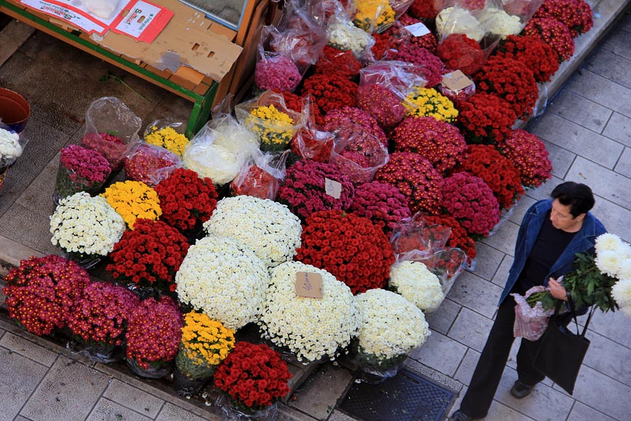 Započela prodaja cvijeća na zadarskoj tržnici, foto-I. Perinčić Započela prodaja cvijeća na zadarskoj tržnici, foto-I. Perinčić