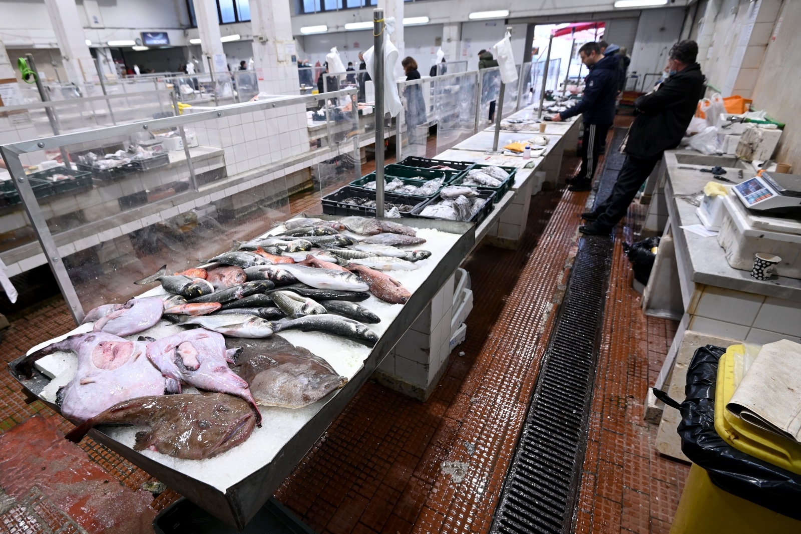 Bogata ponuda ribe na gradskoj ribarnici Bogata ponuda ribe na gradskoj ribarnici