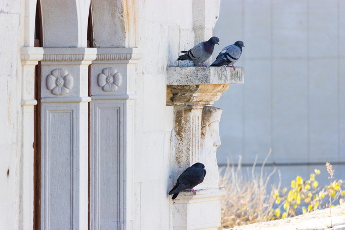 Image 380477 (auto) Image 380477 (auto)