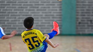 1.Cateleya indoor Cup 1.Cateleya indoor Cup