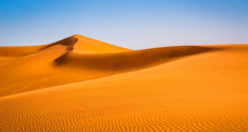 Pijesak iz Sahare vjetrom dolazi do Amazone, a na taj način pustinja doslovno oplođuje prašumu. Pijesak iz Sahare vjetrom dolazi do Amazone, a na taj način pustinja doslovno oplođuje prašumu.