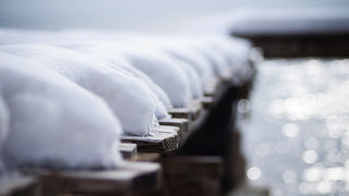 Đir po Punti Bajlo, 7. veljače 2012. (foto:Saša Čuka)