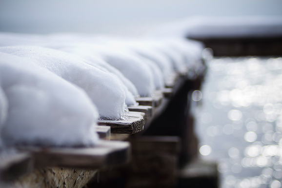 Đir po Punti Bajlo, 7. veljače 2012. (foto:Saša Čuka)