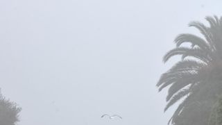 Zadar već treći dan okovan gustom maglom. Foto: Dino Stanin/Pixsell