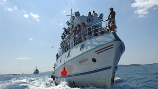 Kali, Ugljan, 080809.
Kali, mjesto na otoku Ugljanu osim sto ima najvecu ribarsku flotu na Jadranu, ima i najstariju festu na Jadranu “Tunuaru”. Festa traje dva dana, a obicaj je i da defile ribarskih brodova prodje Zadarskim kanalom.
Foto: Andrija Lucic