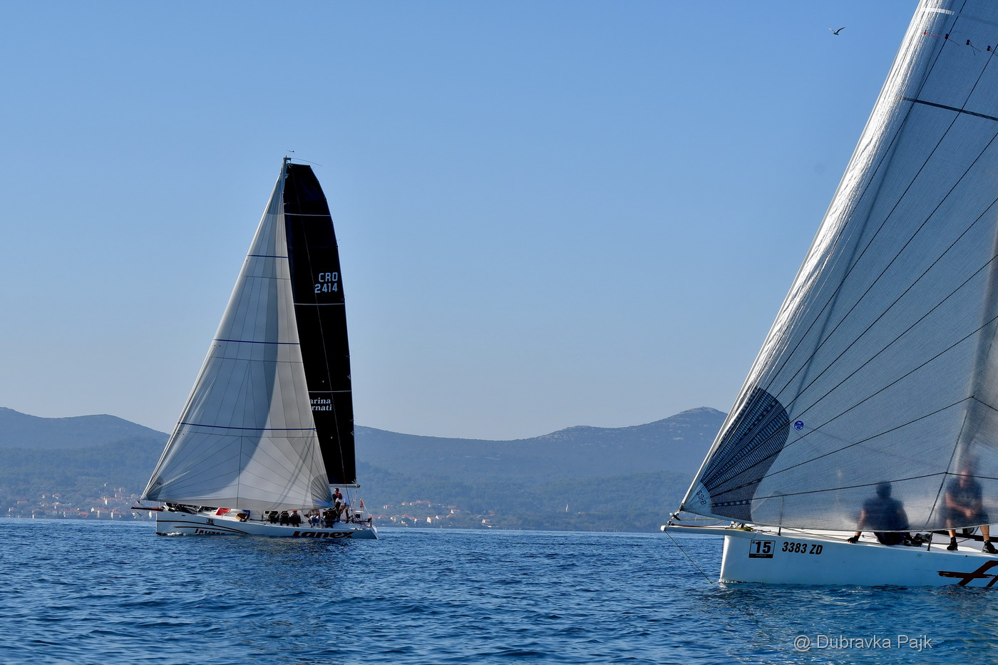 Sva lica “Zadarske koke” Sva lica “Zadarske koke”