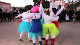 2. Međunarodna karnevalska povorka Virskih maškara