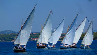 “Đir po konalu” 8. srpnja 2012, Foto: Danijel Katičin