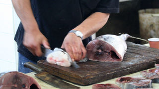 Image 1200391 (auto)