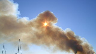 Image 1177157 (auto)