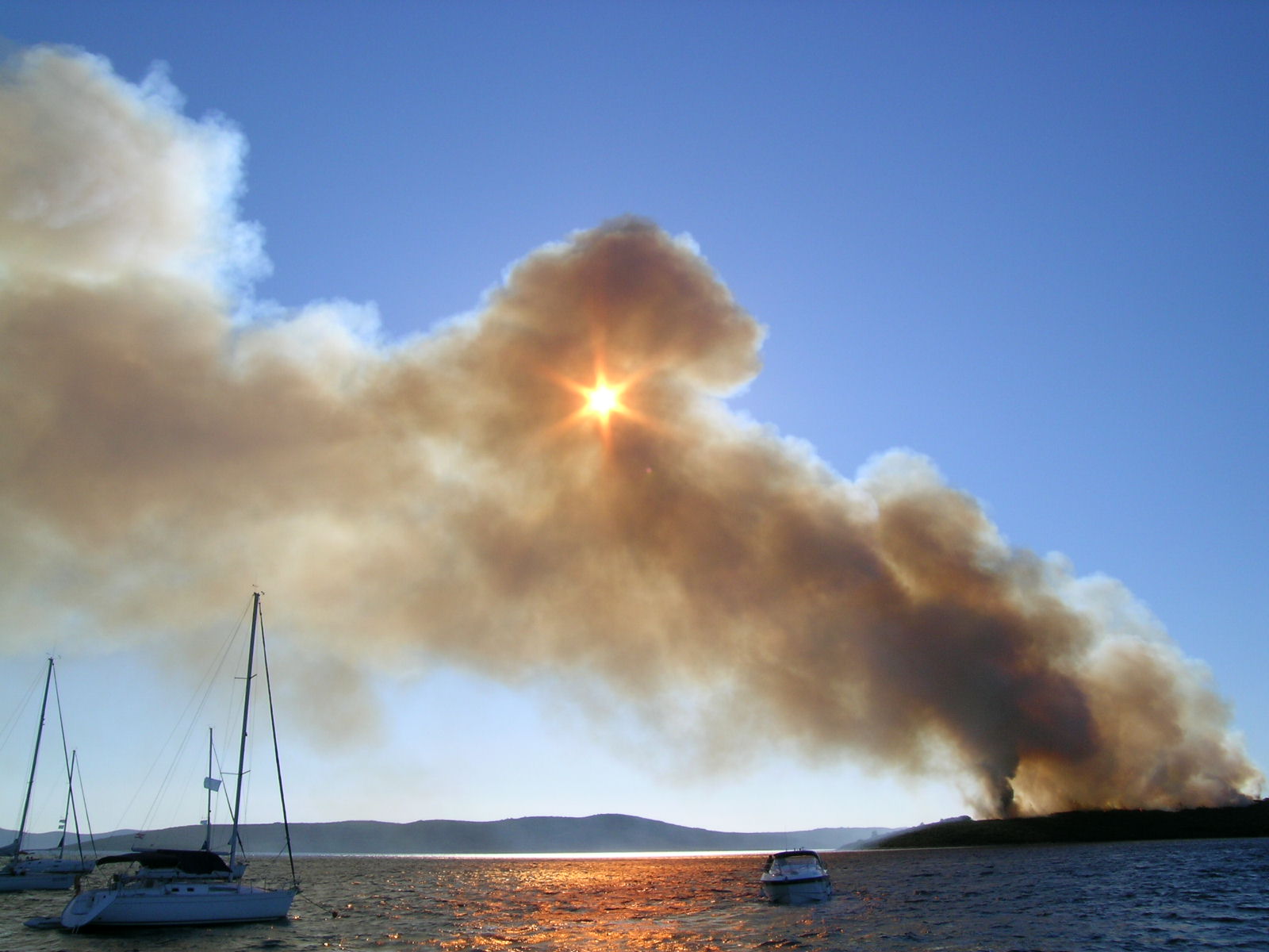 Image 1177157 (auto)