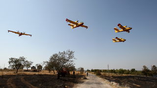 Zadar, Babindub, 230812.
Pozar u mjestu Babindub, kraj Zadra, u blizini aerodroma. Pozar je izbio medju kucama, na rubu borove sume kod vojnog aerodroma. Dio terena je miniran pa su u gasenju sudjelovali i kanaderi.
Foto: Jure Miskovic / CROPIX
