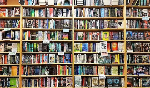 Alis Pečarić Marić: Blog i društvene mreže “Čitaj knjigu”