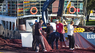 Ribar krpa mrižu svoju (foto:Saša Čuka) Ribar krpa mrižu svoju (foto:Saša Čuka)