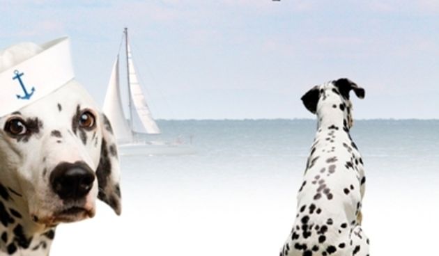 Dalmatino – Lipa rič