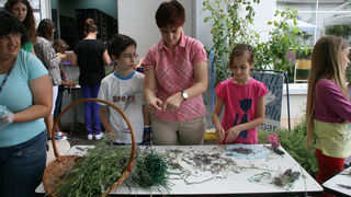 Danas je održana kreativna radionica za velike i male u organizaciji Dječjeg odjela Gradske knjižnice Zadar: izrada stručaka i jastučića od lavande od 10-12 h. Radionicu je vodila gospođa Jadranka Plantak. Foto by Lucija Juravic Danas je održana kreativna radionica za velike i male u organizaciji Dječjeg odjela Gradske knjižnice Zadar: izrada stručaka i jastučića od lavande od 10-12 h. Radionicu je vodila gospođa Jadranka Plantak. Foto by Lucija Juravic