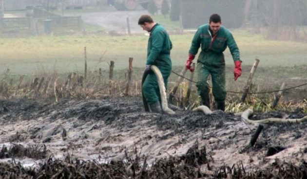 Puknuo naftovod, foto: Zlatko Putar (vecernji list)