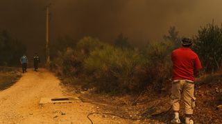 Veliki požar na Pelješcu