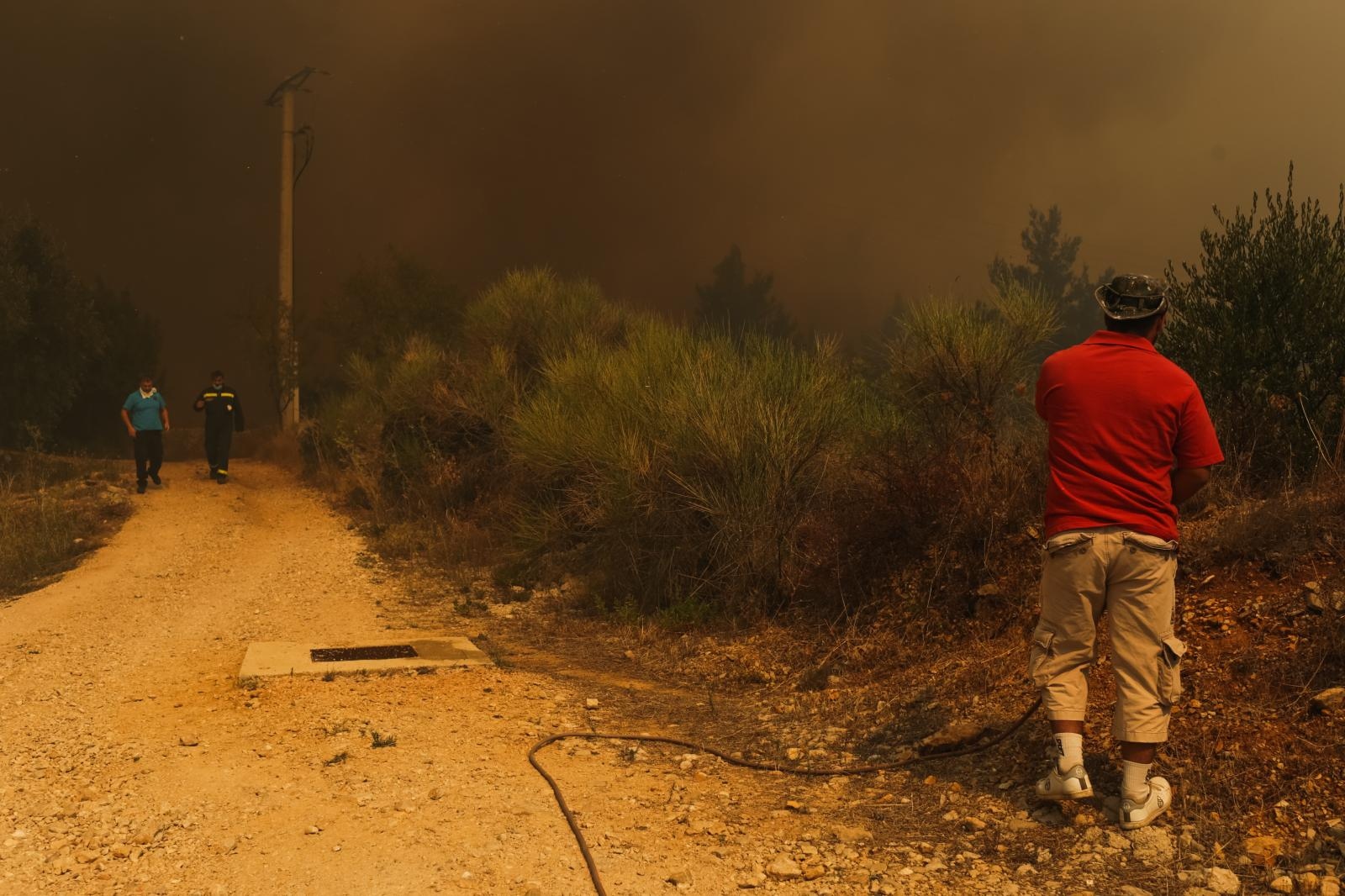 Veliki požar na Pelješcu