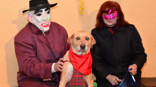 Koncertom “Gazdi” nastavljen karnevalski mjesec na Viru, Foto: Iva Perincic Koncertom “Gazdi” nastavljen karnevalski mjesec na Viru, Foto: Iva Perincic