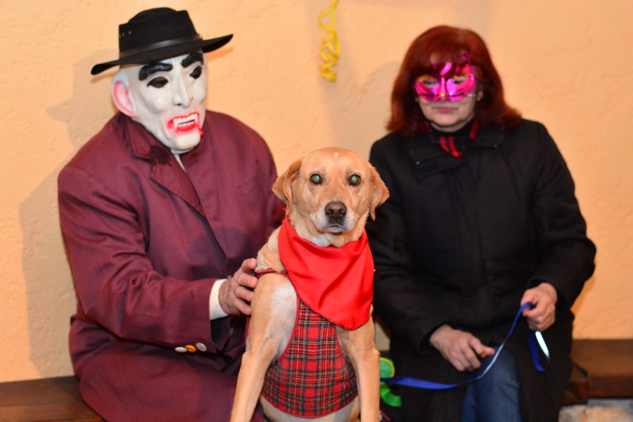 Koncertom “Gazdi” nastavljen karnevalski mjesec na Viru, Foto: Iva Perincic Koncertom “Gazdi” nastavljen karnevalski mjesec na Viru, Foto: Iva Perincic