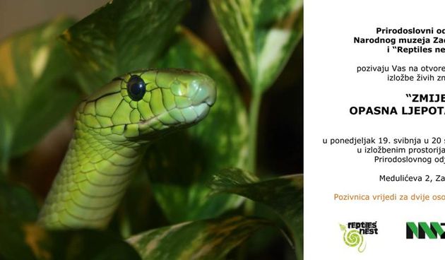 Zmije u Narodnom muzeju