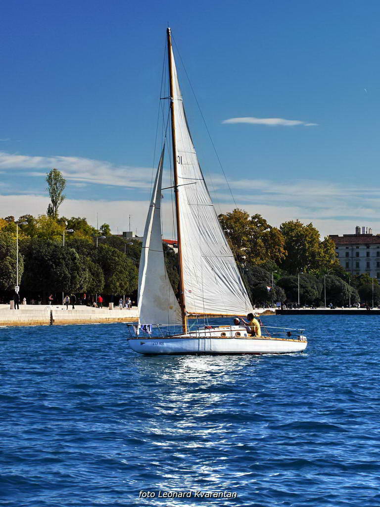 Regata Zadarska Koka 2015. Regata Zadarska Koka 2015.