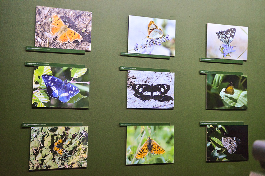 11. Noć muzeja u Zadru, foto-Iva Perinčić 11. Noć muzeja u Zadru, foto-Iva Perinčić