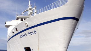 Image 1057529 (auto)