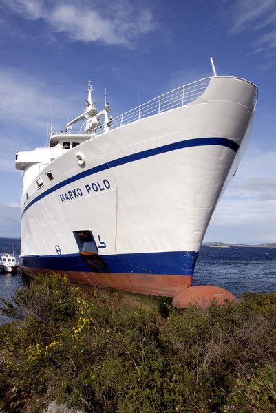 Image 1057529 (auto)