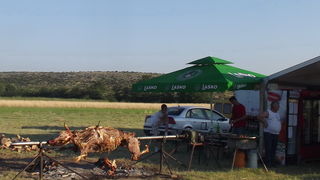 Dani vitezova vranskih, 19. srpnja 2014.