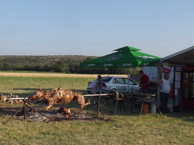 Dani vitezova vranskih, 19. srpnja 2014.