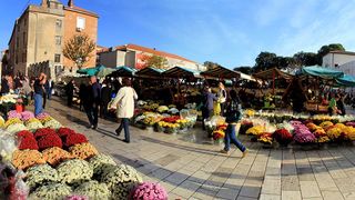 Započela prodaja cvijeća na zadarskoj tržnici, foto-I. Perinčić Započela prodaja cvijeća na zadarskoj tržnici, foto-I. Perinčić