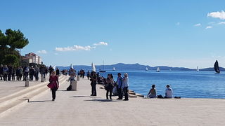 Zadarska Koka 2016. 22. listopada 2016. Foto: Mladen Malik Zadarska Koka 2016. 22. listopada 2016. Foto: Mladen Malik