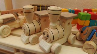 05.02.2014., Knin – Po prvi puta je u gradu otvorena je besplatna knjiznica djecjih igracaka. Projekt su osmislile clanice Ekoudruga Krka-Knin na celu sa Ingom Kukolj i Marijom Ujakovic. Jedini uvjet za uclanjenje u knjiznicu je da djeca donesu neku svo