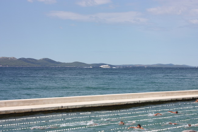 Plivacki miting “Zadar 2008.”