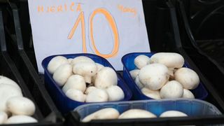 Image 1200501 (auto)