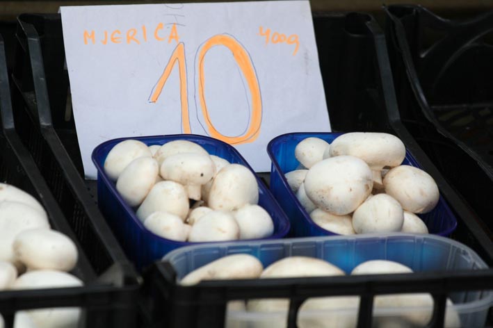 Image 1200501 (auto)