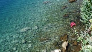 Đir p Rabu Đir p Rabu