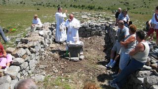 Image 1177359 (auto)