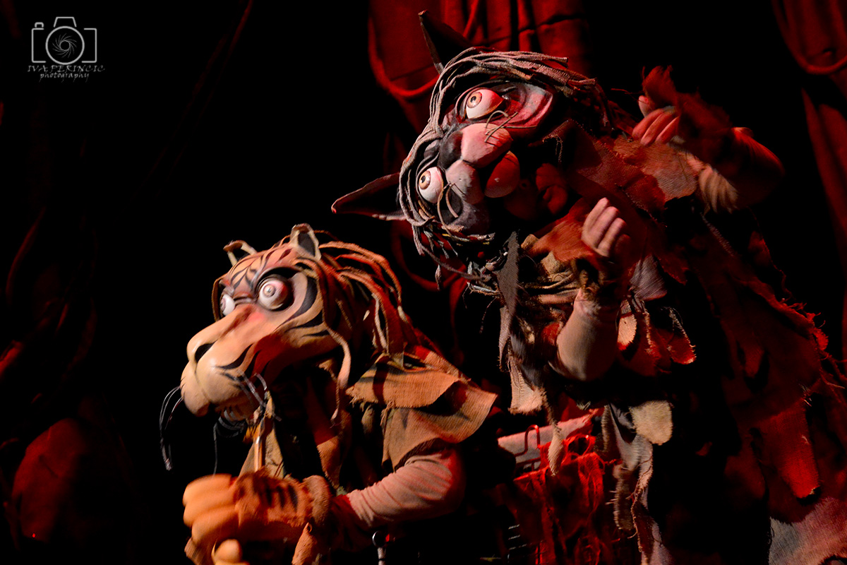 Knjiga o džungli, foto: Iva Perinčić Knjiga o džungli, foto: Iva Perinčić