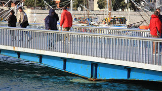 Velika Plima (foto: Marin Gospić)