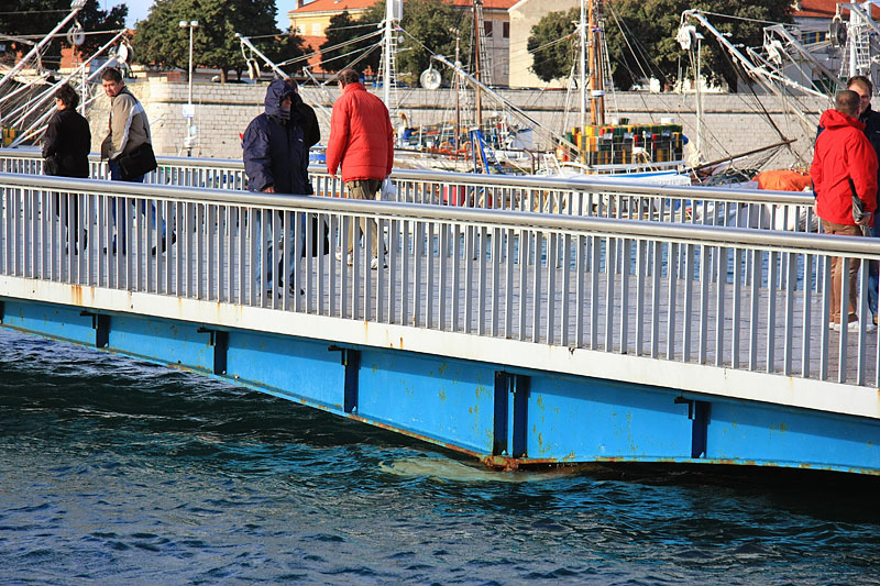 Velika Plima (foto: Marin Gospić)