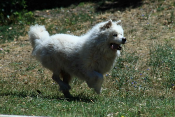 Ljetni šušur na zadarskoj rivi
