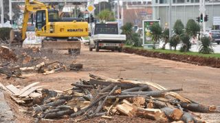 Na Bulevaru posječena stabla lipe stara 40 godina