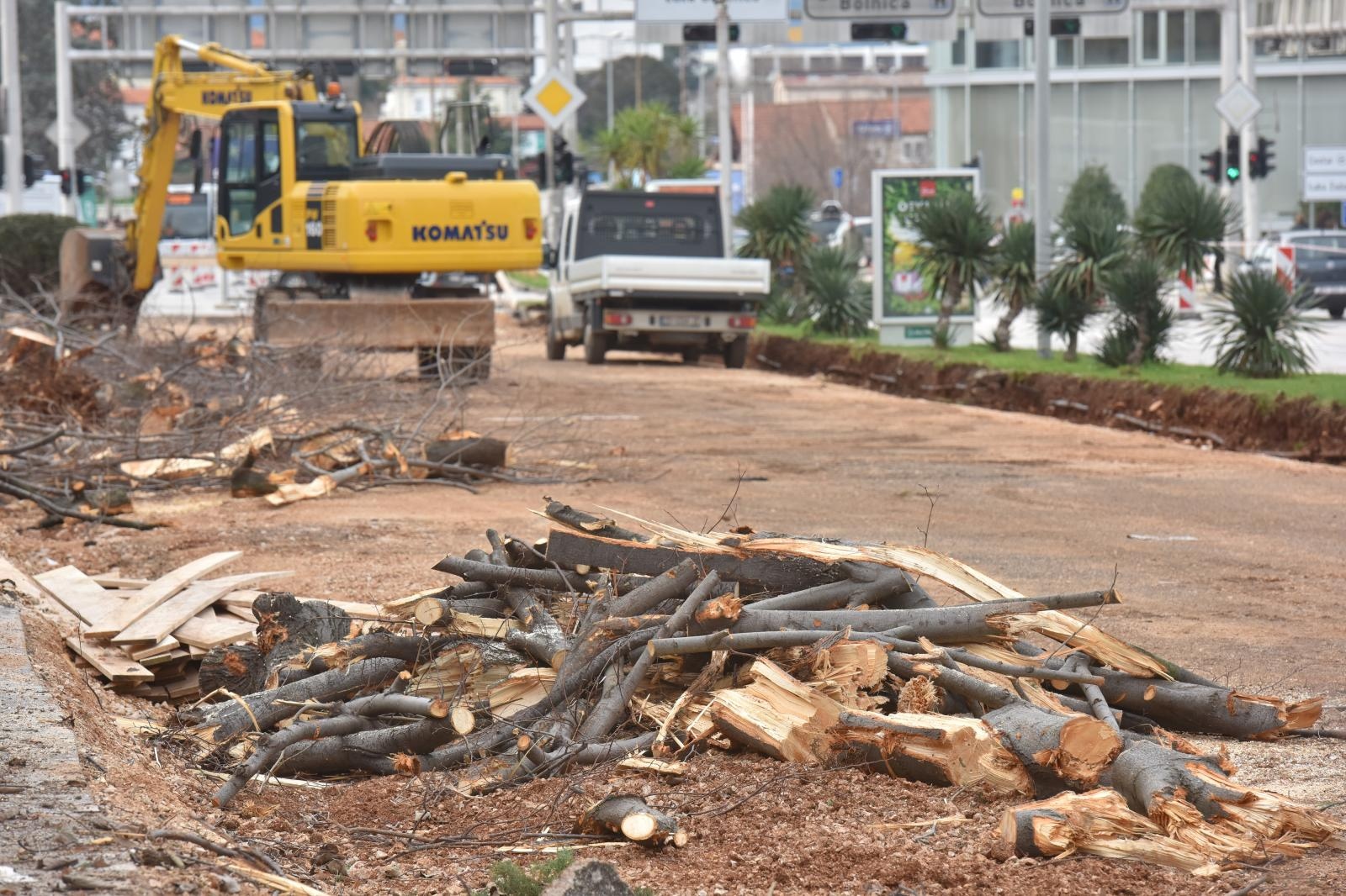 Na Bulevaru posječena stabla lipe stara 40 godina
