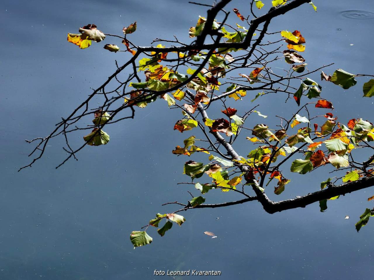 NP Plitvička jezera, listopad 2021.