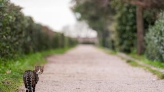 Đir po Perivoju Vladimira Nazora