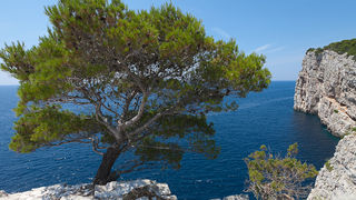Posjeta NP Kornati i PP Telašćica, foto: Darko Belančić Posjeta NP Kornati i PP Telašćica, foto: Darko Belančić